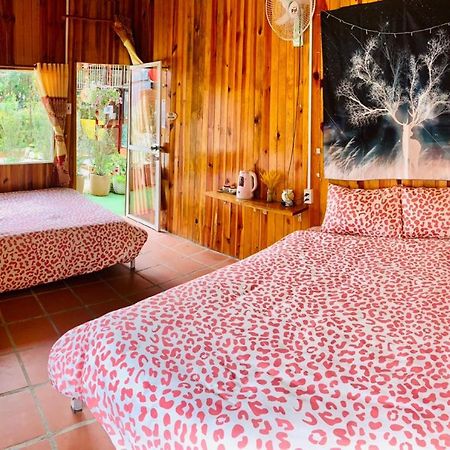 Moc Gia Vien Homestay - Dalat Exteriör bild